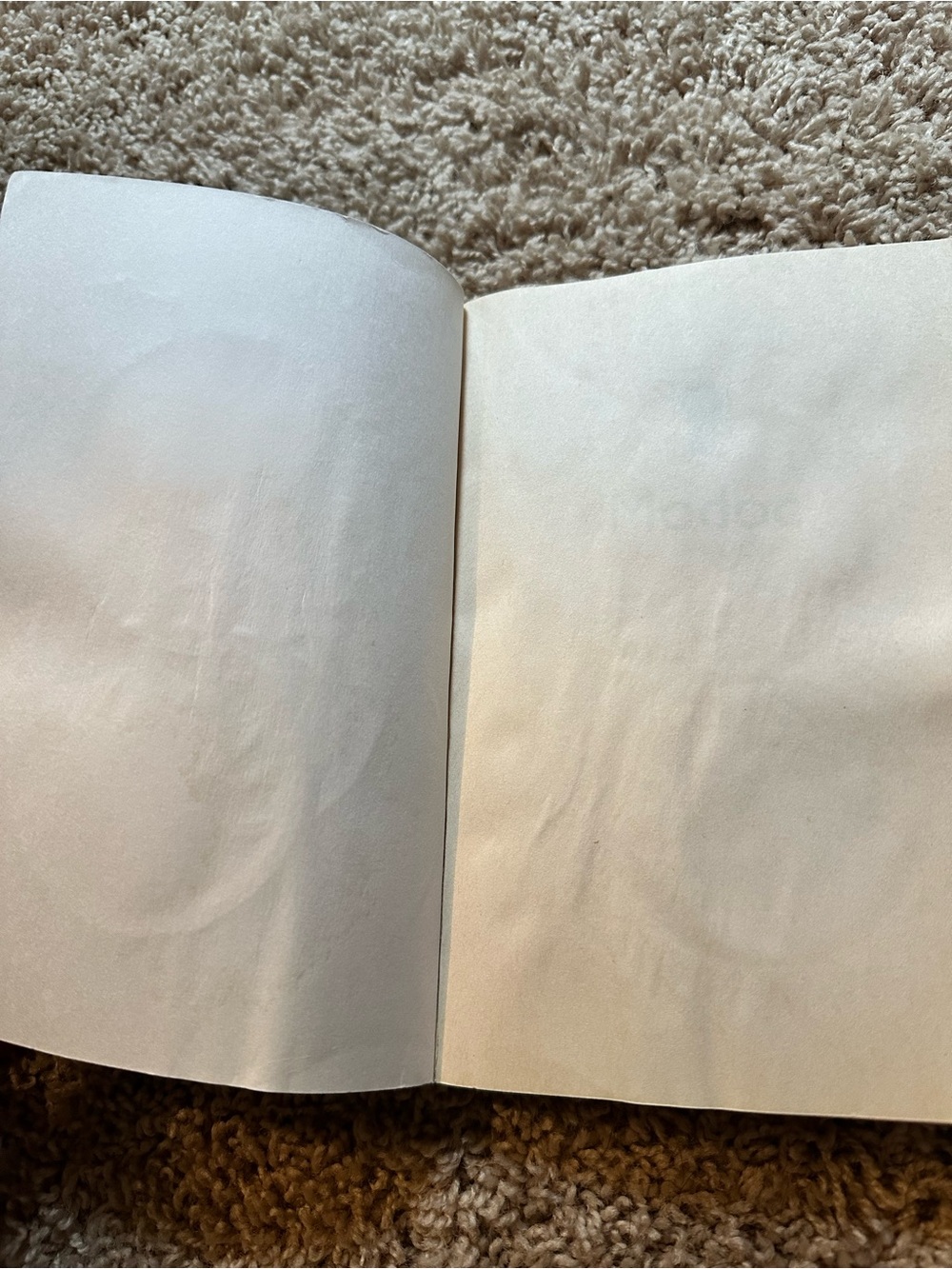 Modoc by Ralph Helfer — Soft Cover - Picture 4 of 6